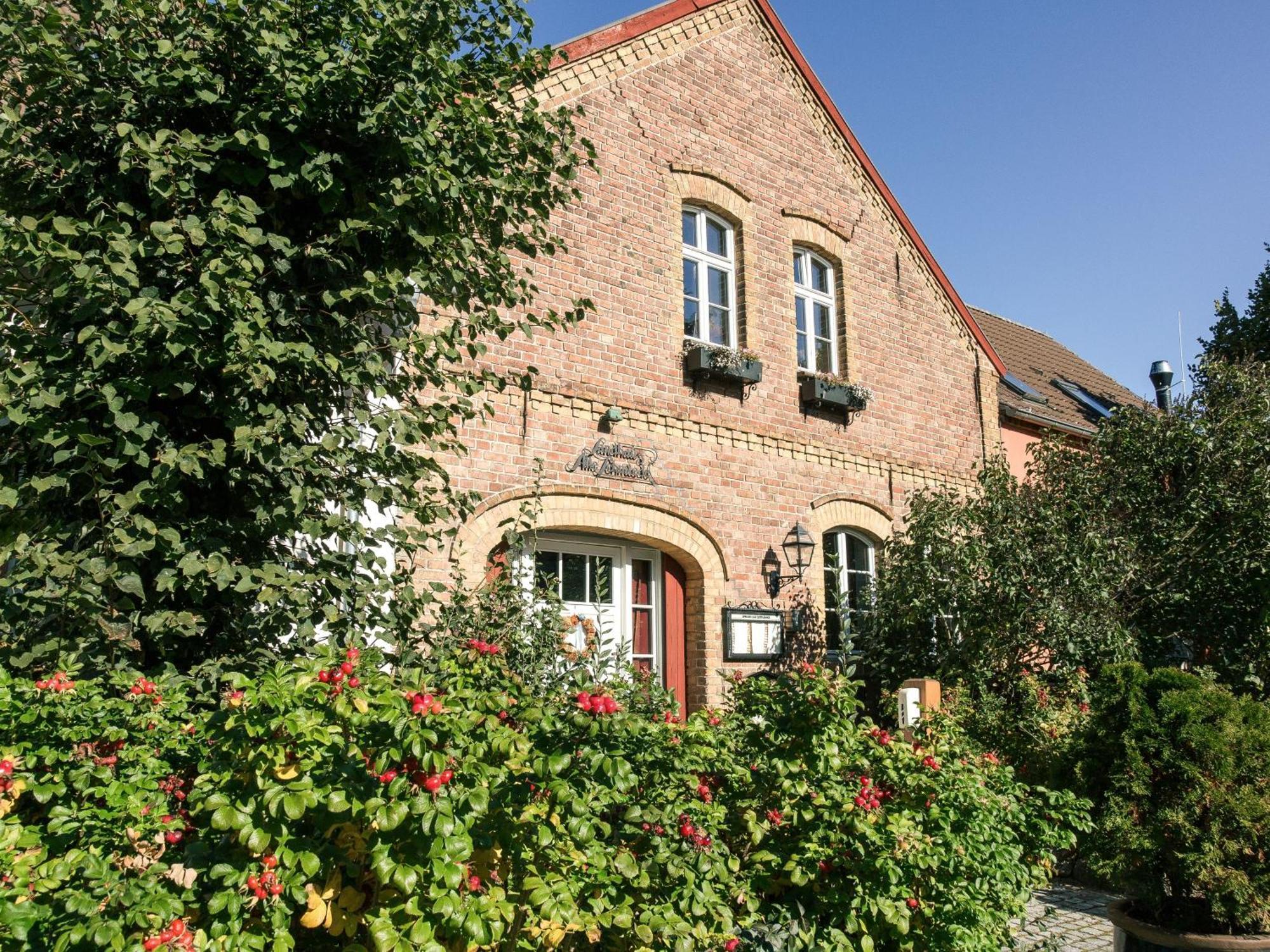 Landhaus Alte Schmiede Niemegk  Exterior foto